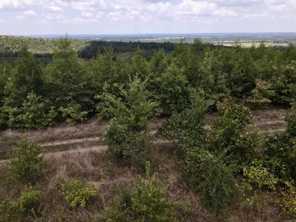 Picture 40