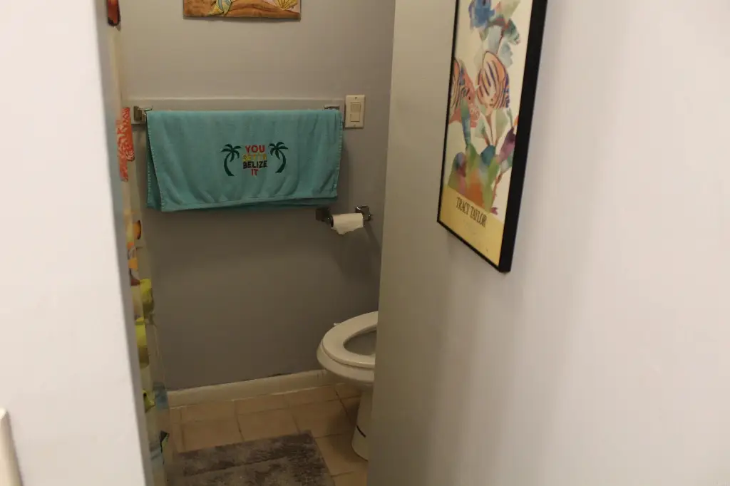 Picture 19