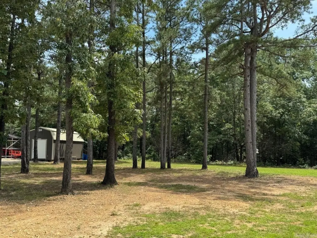 Picture 28