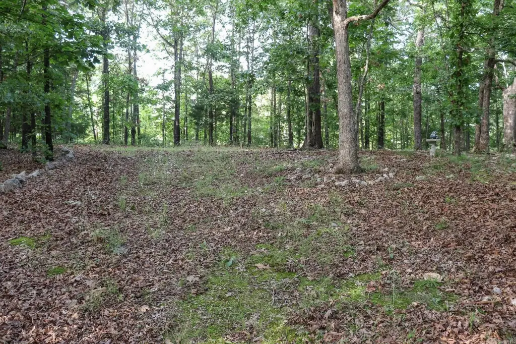Picture 20