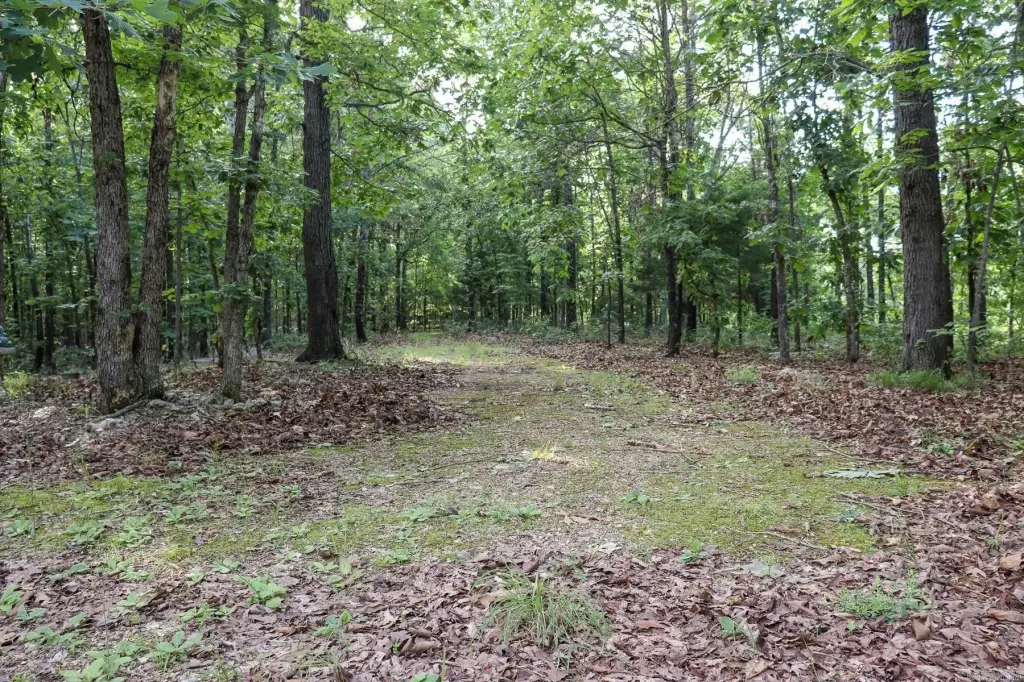 Picture 18