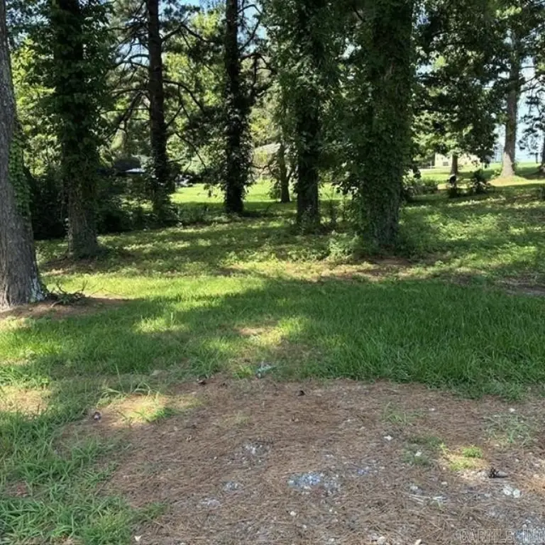 Picture 11