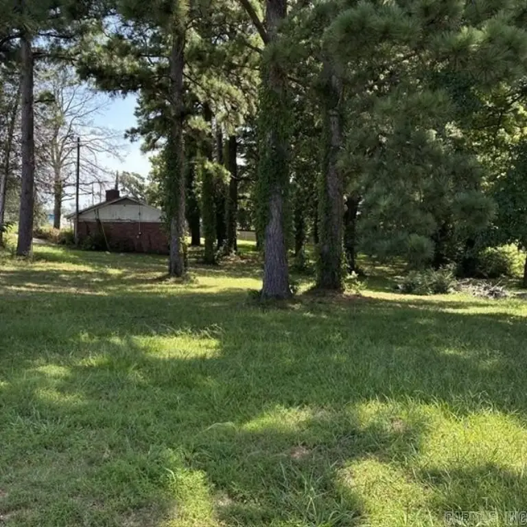 Picture 4