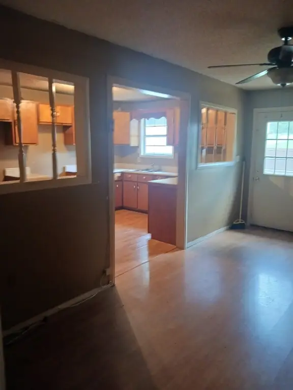 Picture 11