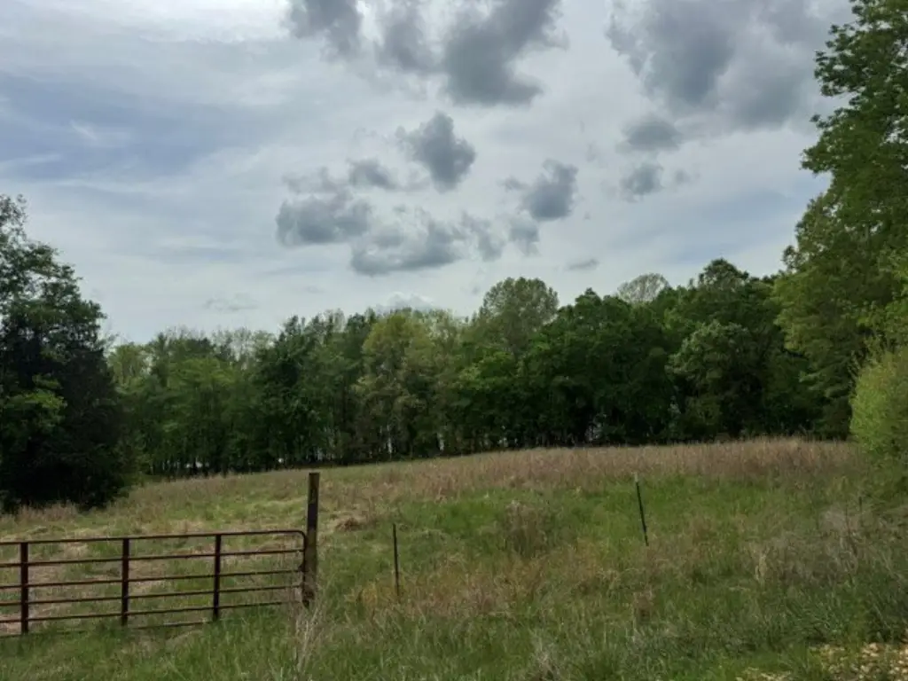 Picture 18