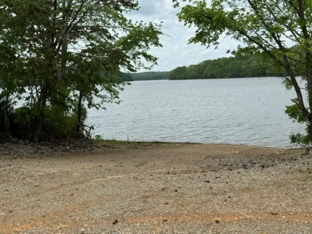 Picture 25