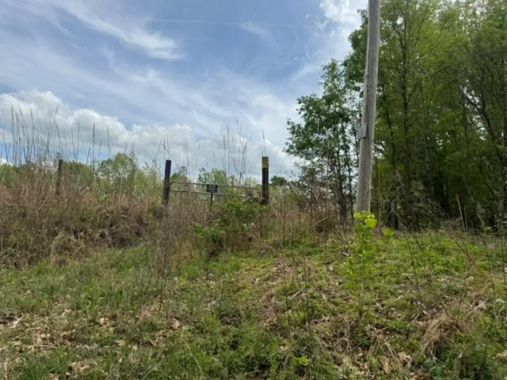 Picture 31