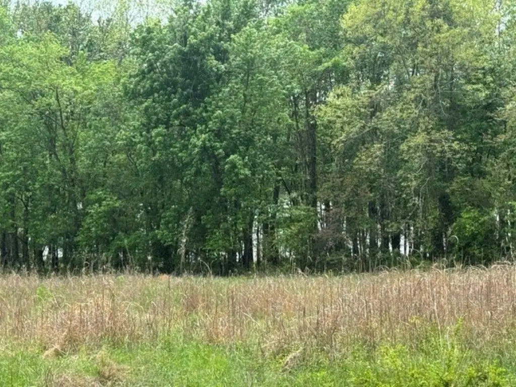 Picture 27