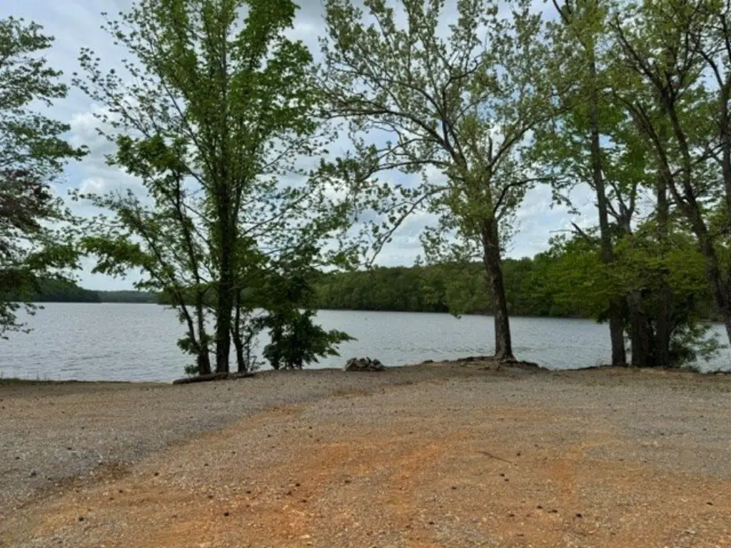 Picture 22