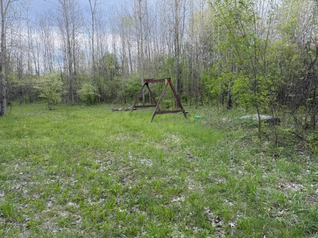 Picture 19