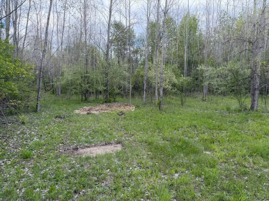 Picture 21