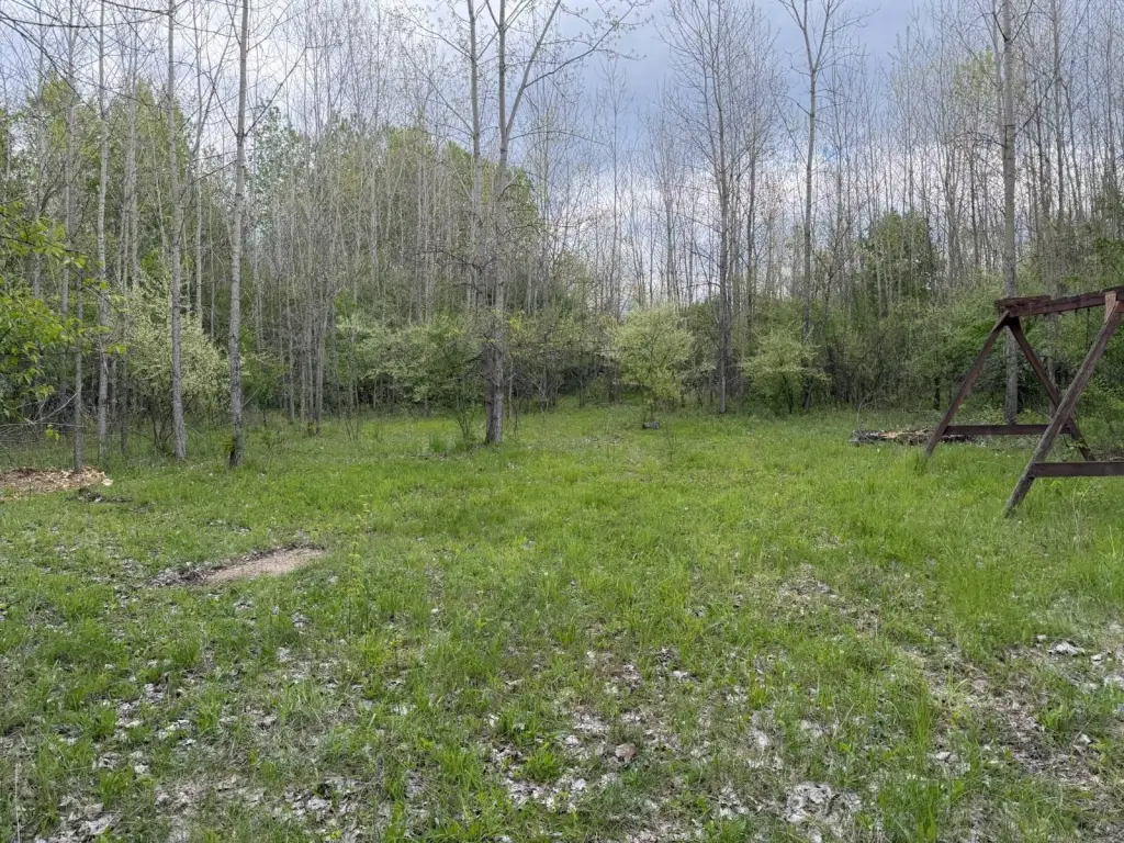 Picture 20