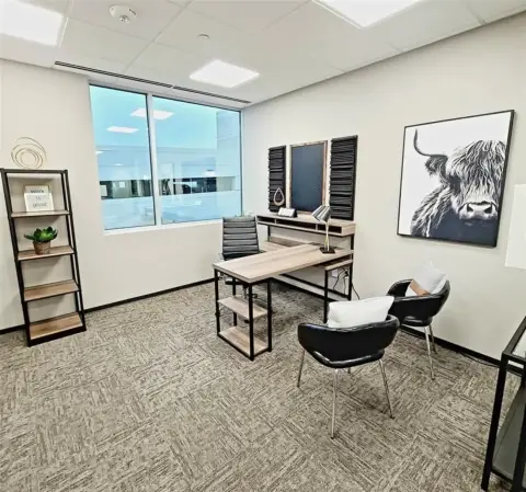 Furnished Office Space in Plano