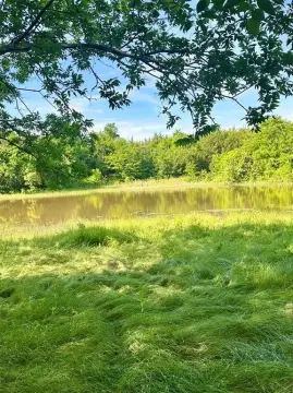 101.5 Acres in Blue Ridge