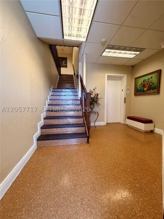 Picture 5