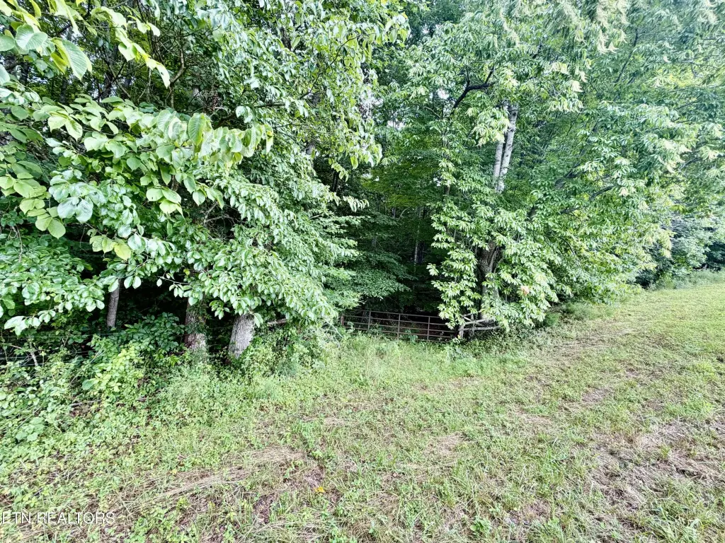 Picture 24