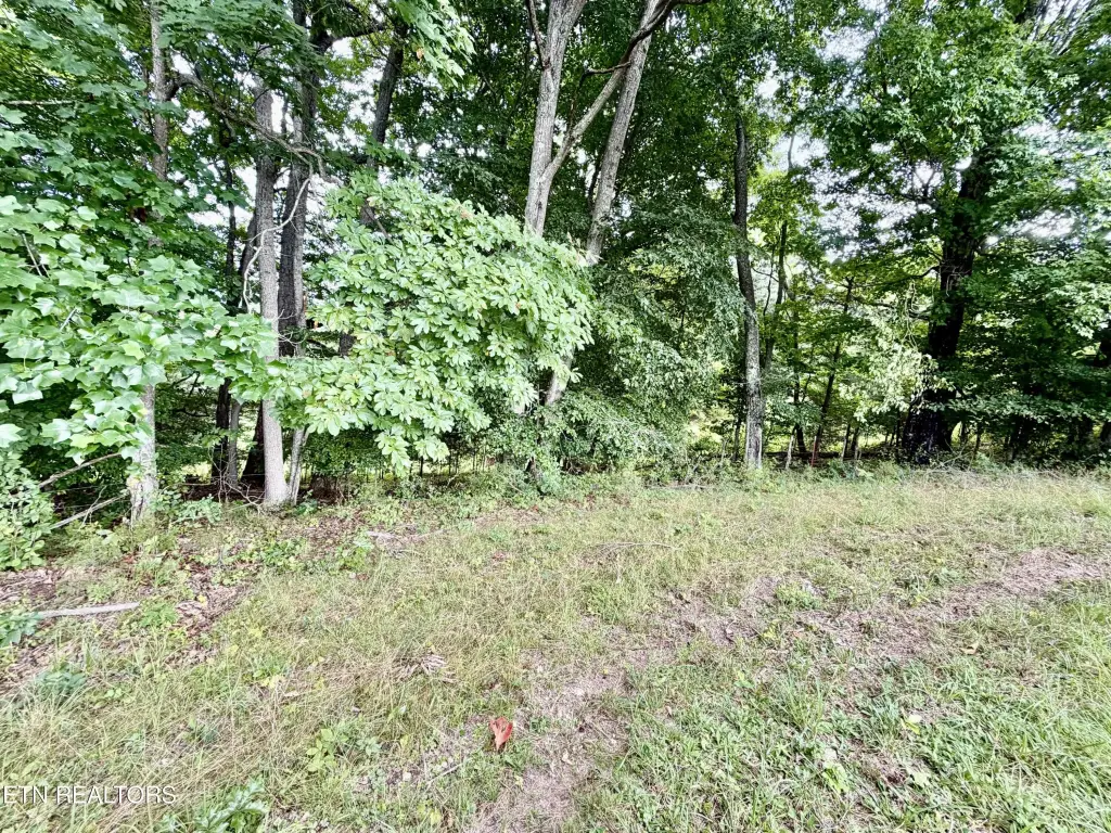 Picture 23