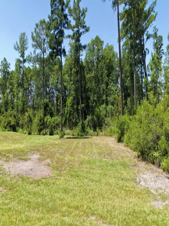 Picture 14