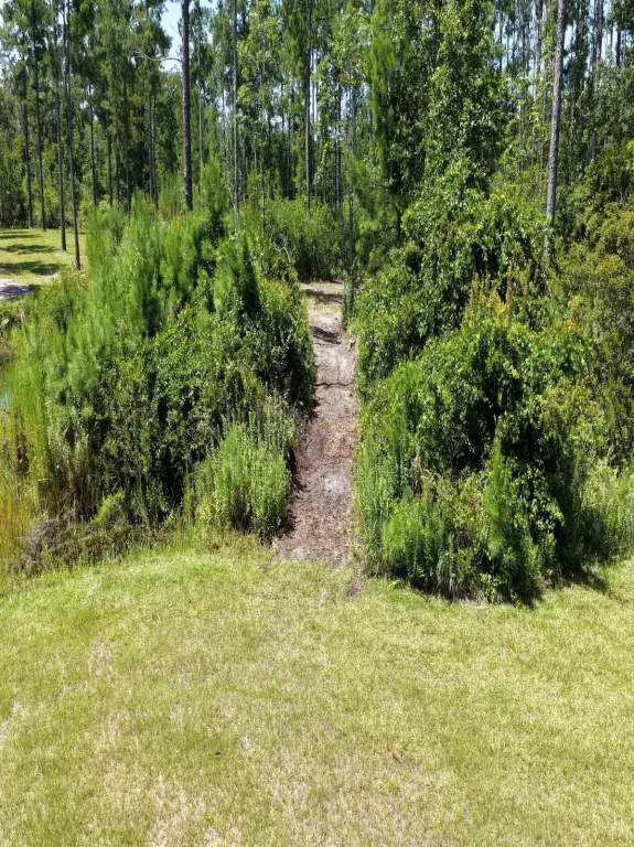 Picture 24
