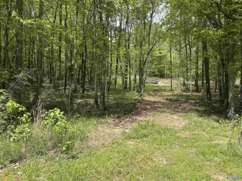 Picture of Land at SW Glenn Blvd 2521, Fort Payne, AL