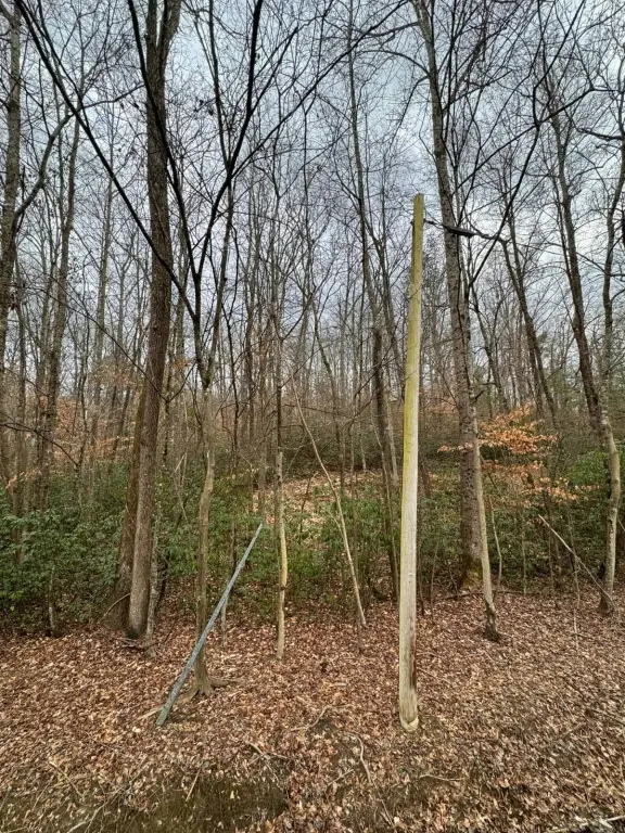 Picture 13
