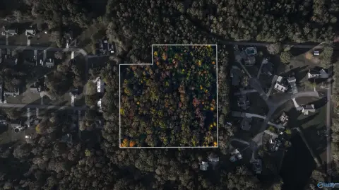 9.5 Acres Wooded Land