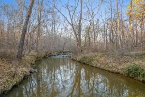 68.6 Acres Wooded Seclusion