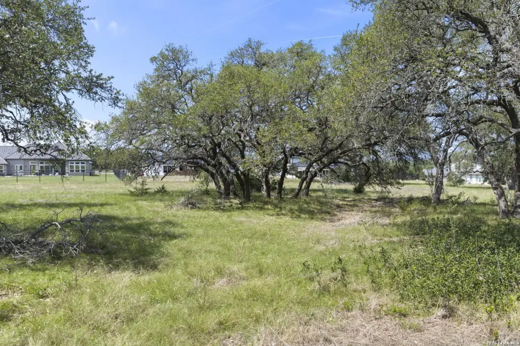 Picture 29