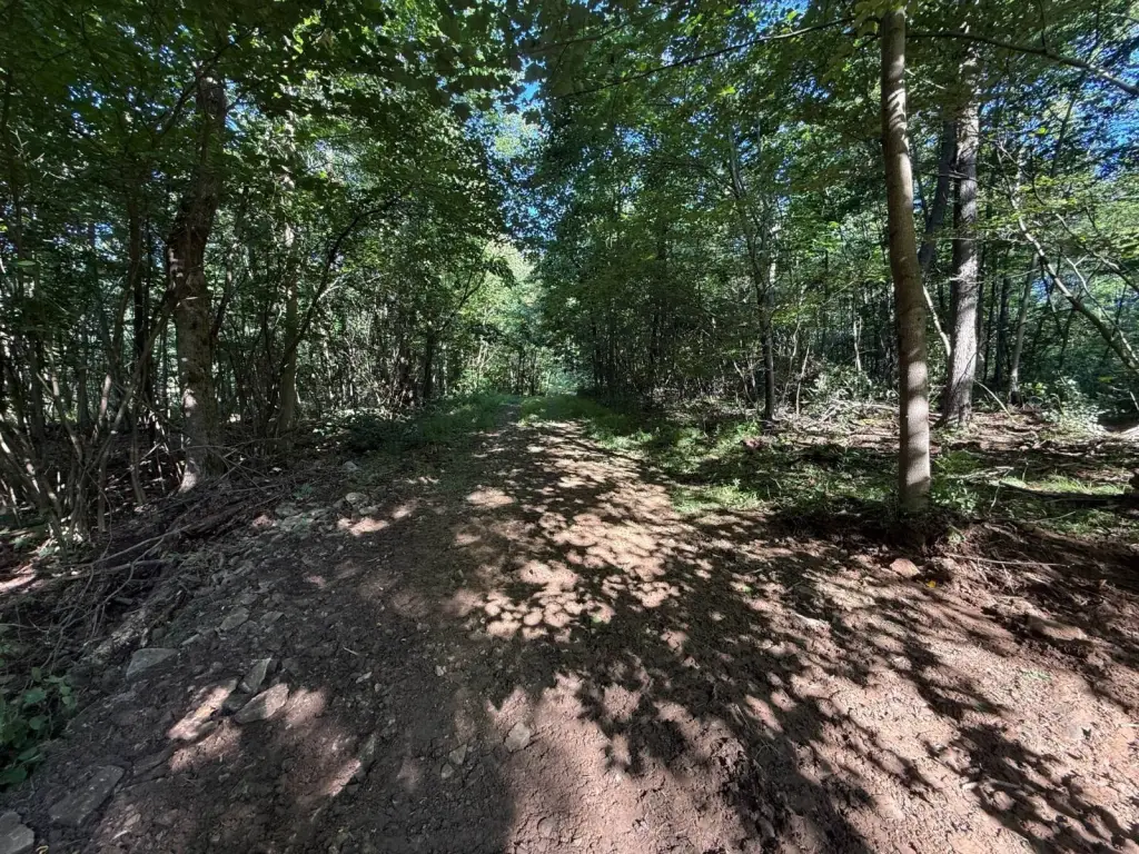 Picture 27