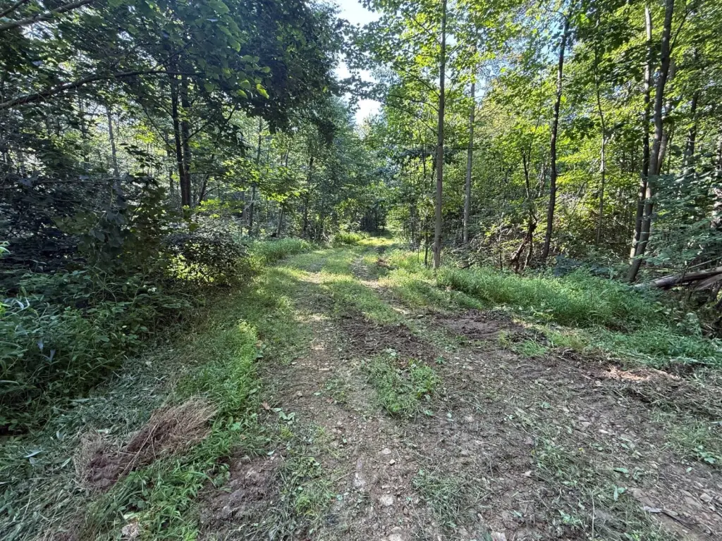 Picture 28