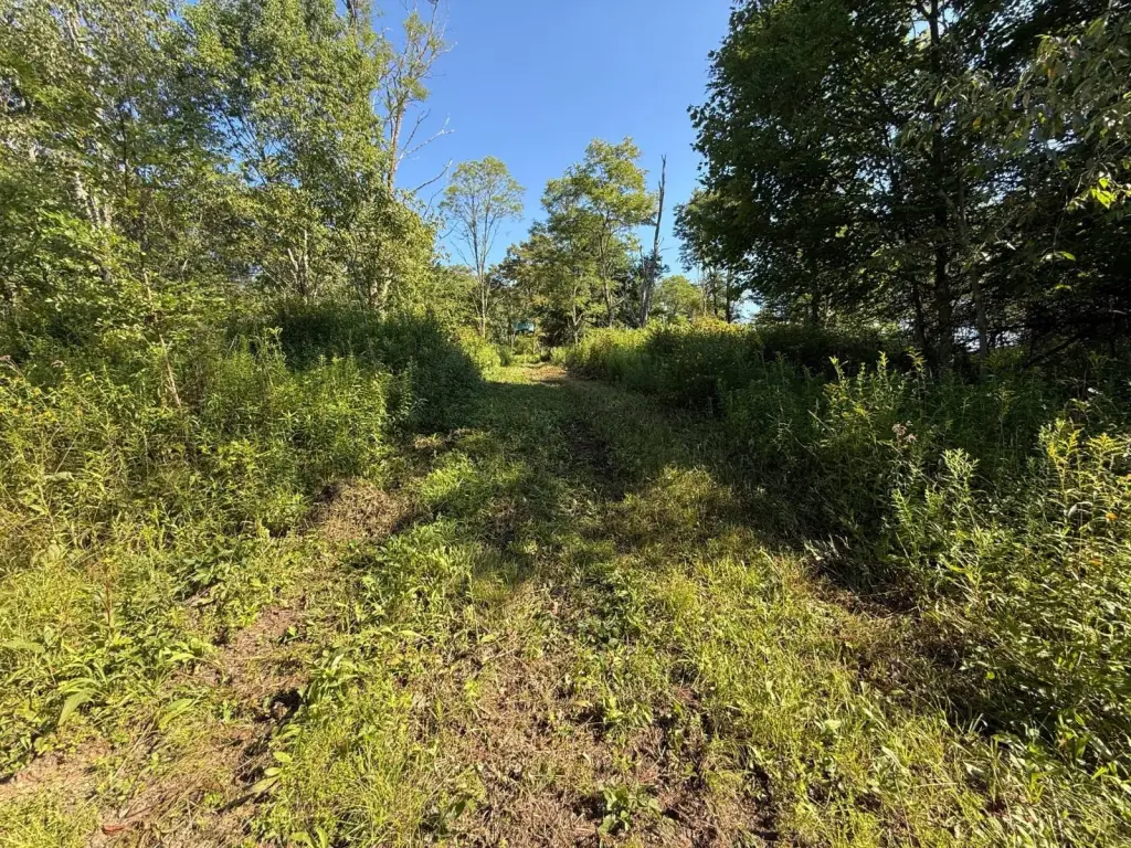 Picture 30