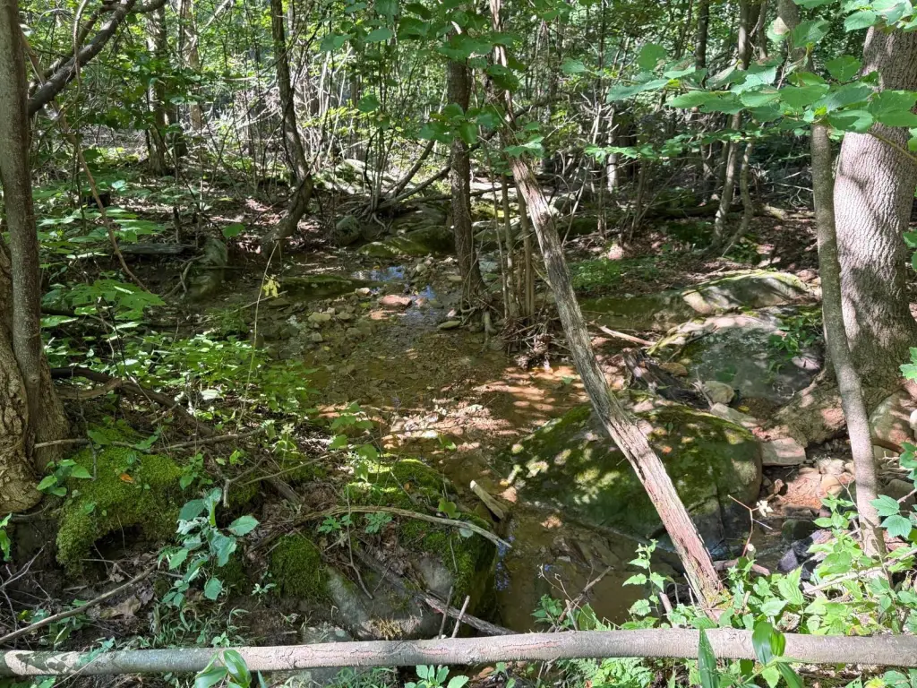 Picture 10