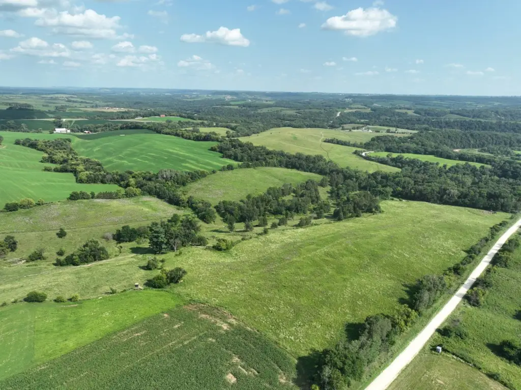 Picture 48