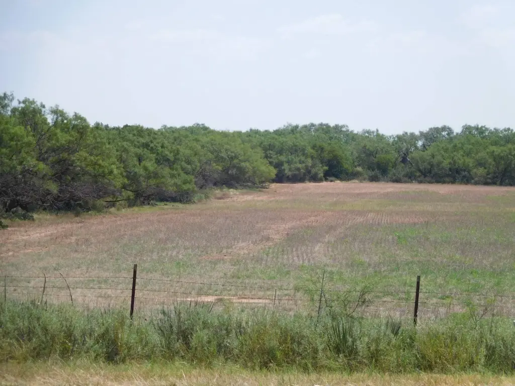 Picture 15