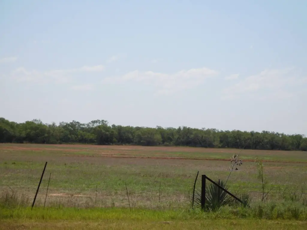 Picture 14