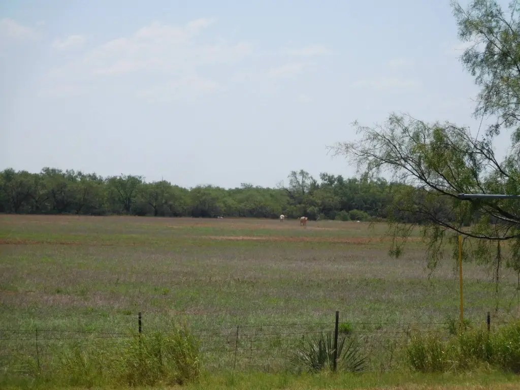 Picture 16