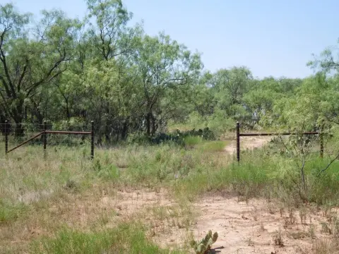 Fenced Hunting Land with Creek