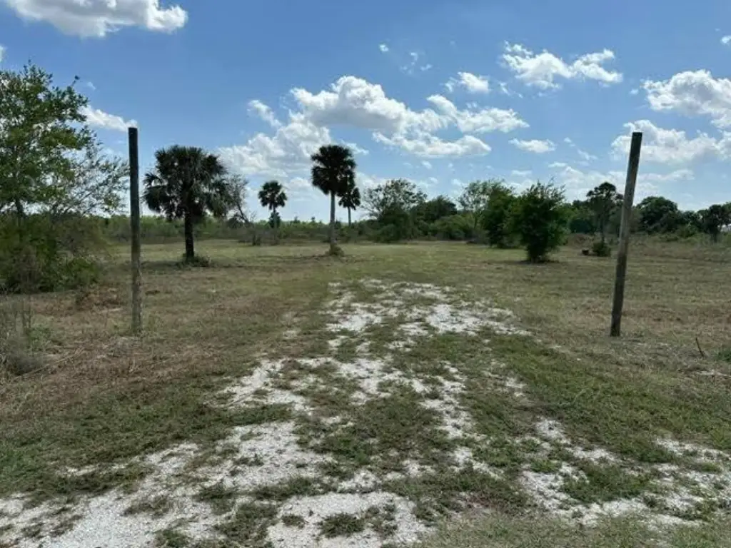 Picture 5