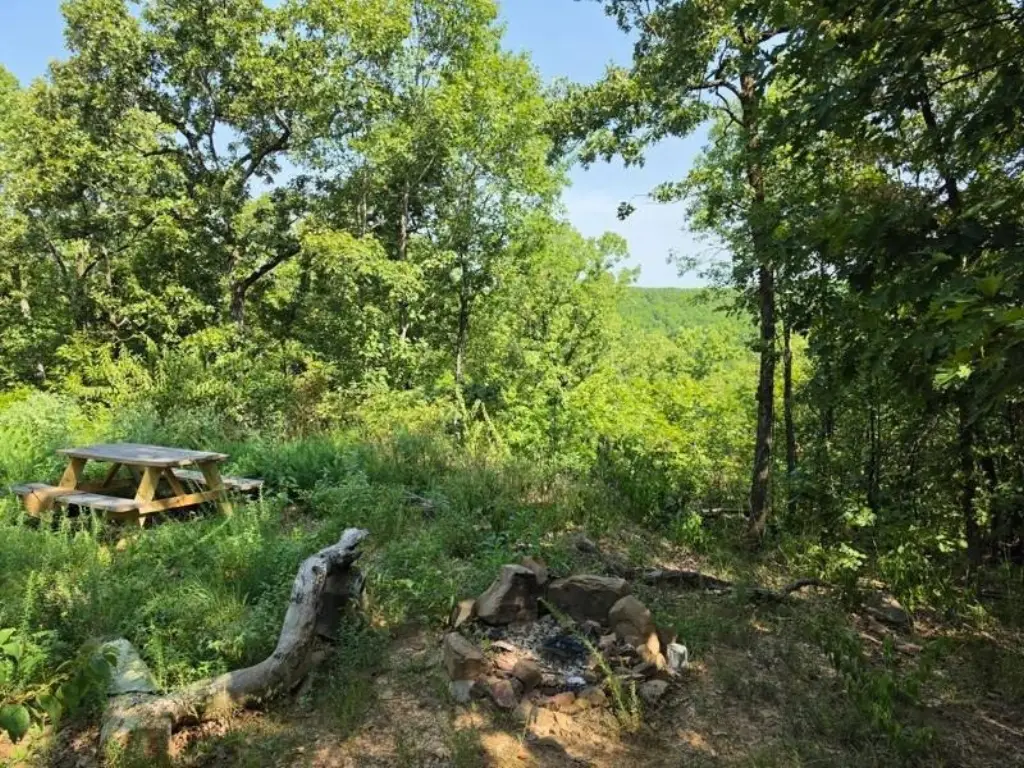 Picture 7