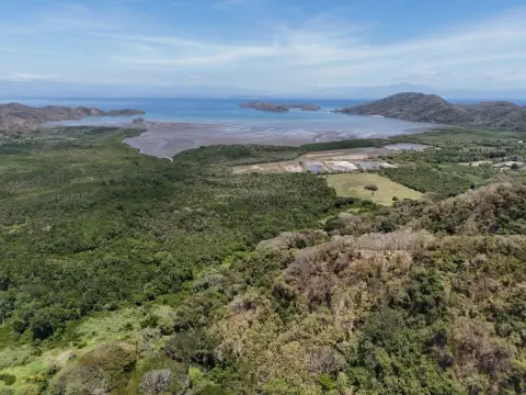 Large Land Parcel with Teak