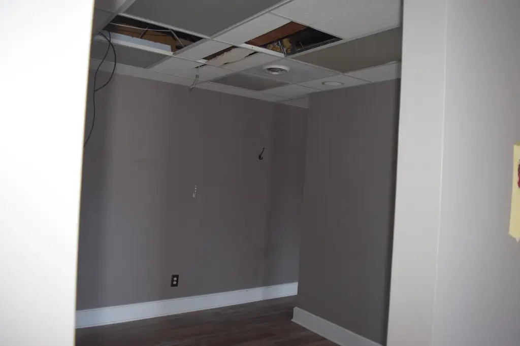 Picture 10