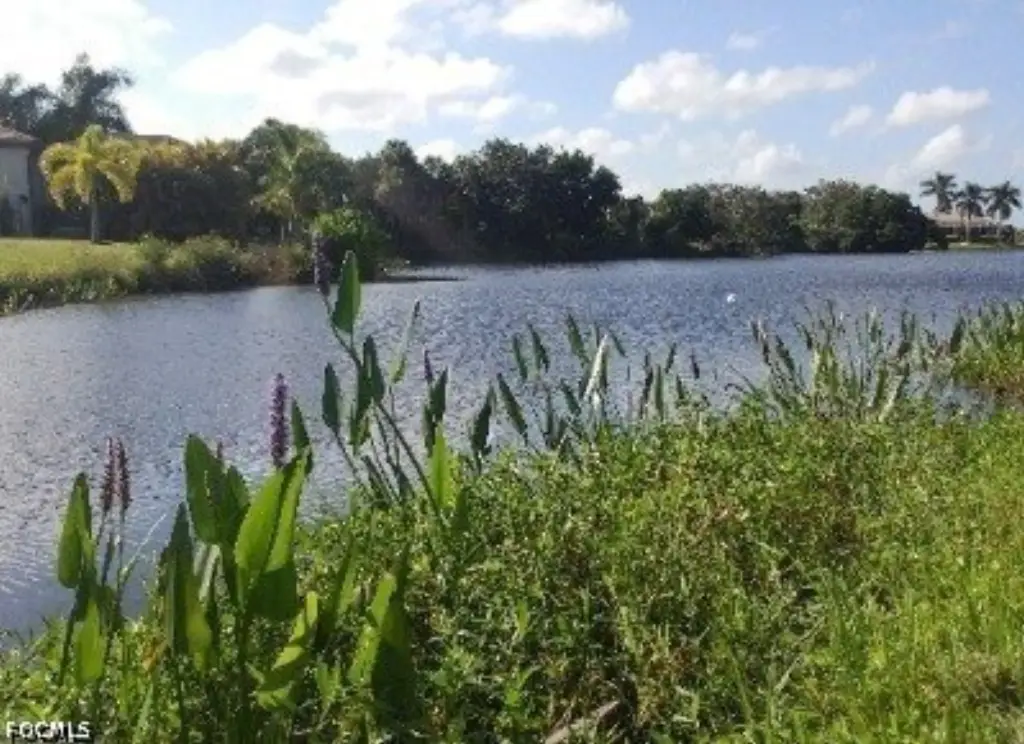 Picture 10