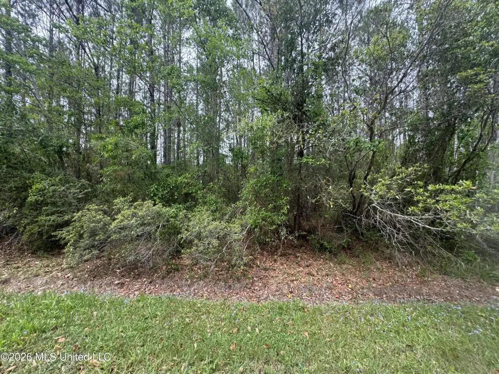Picture 2