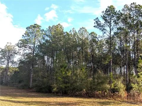 Lecanto Land in Clearview Estates