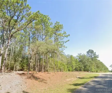 Residential Lot in Citrus Springs