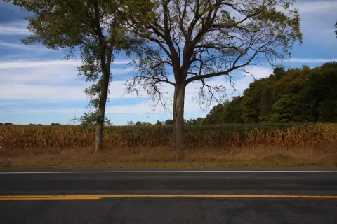 Vicksburg Land For Sale