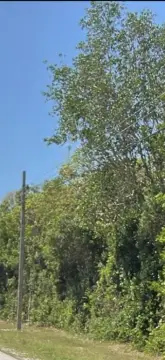 27.6 Acres in Homestead, FL