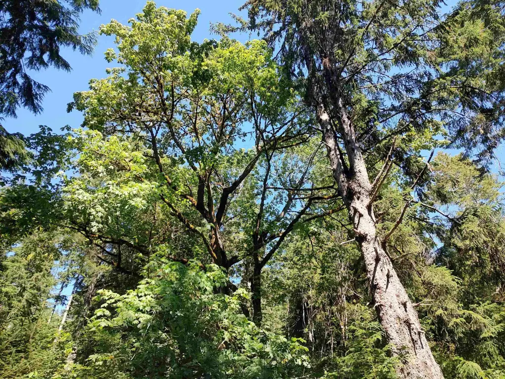 Picture 28