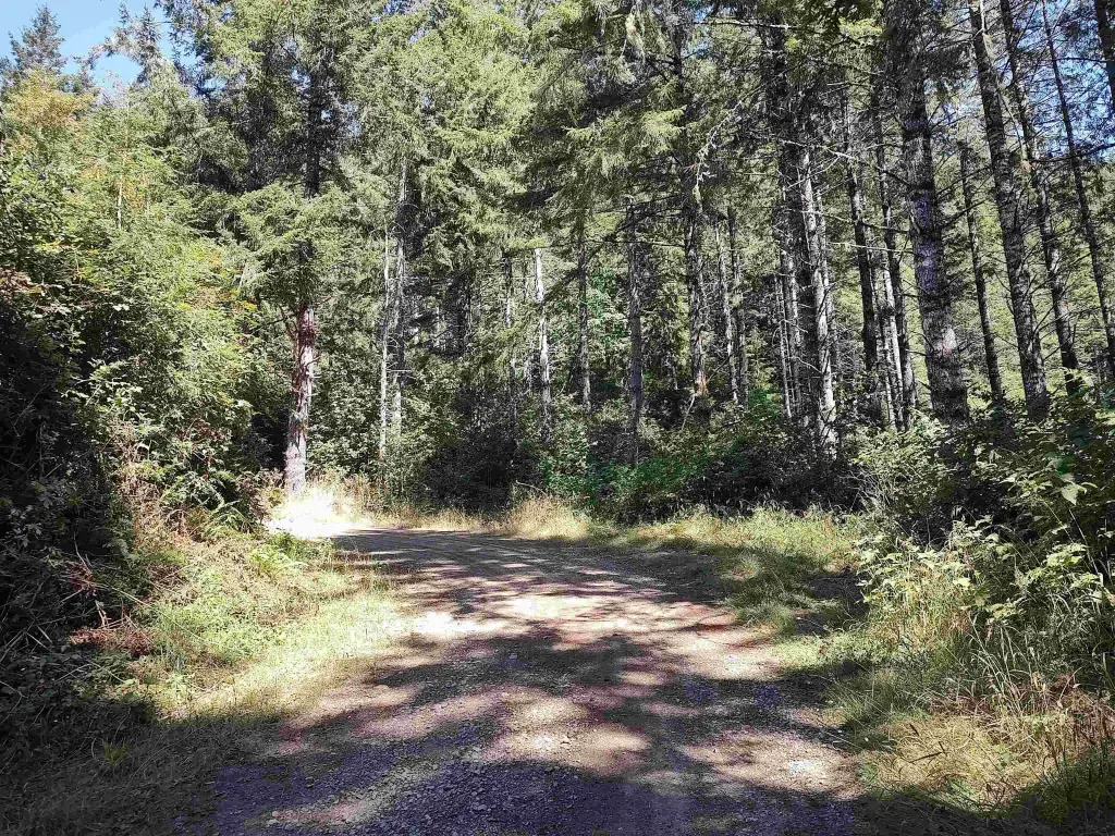 Picture 27