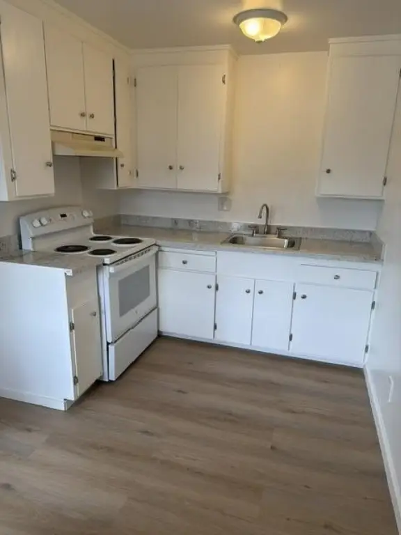 Picture 5
